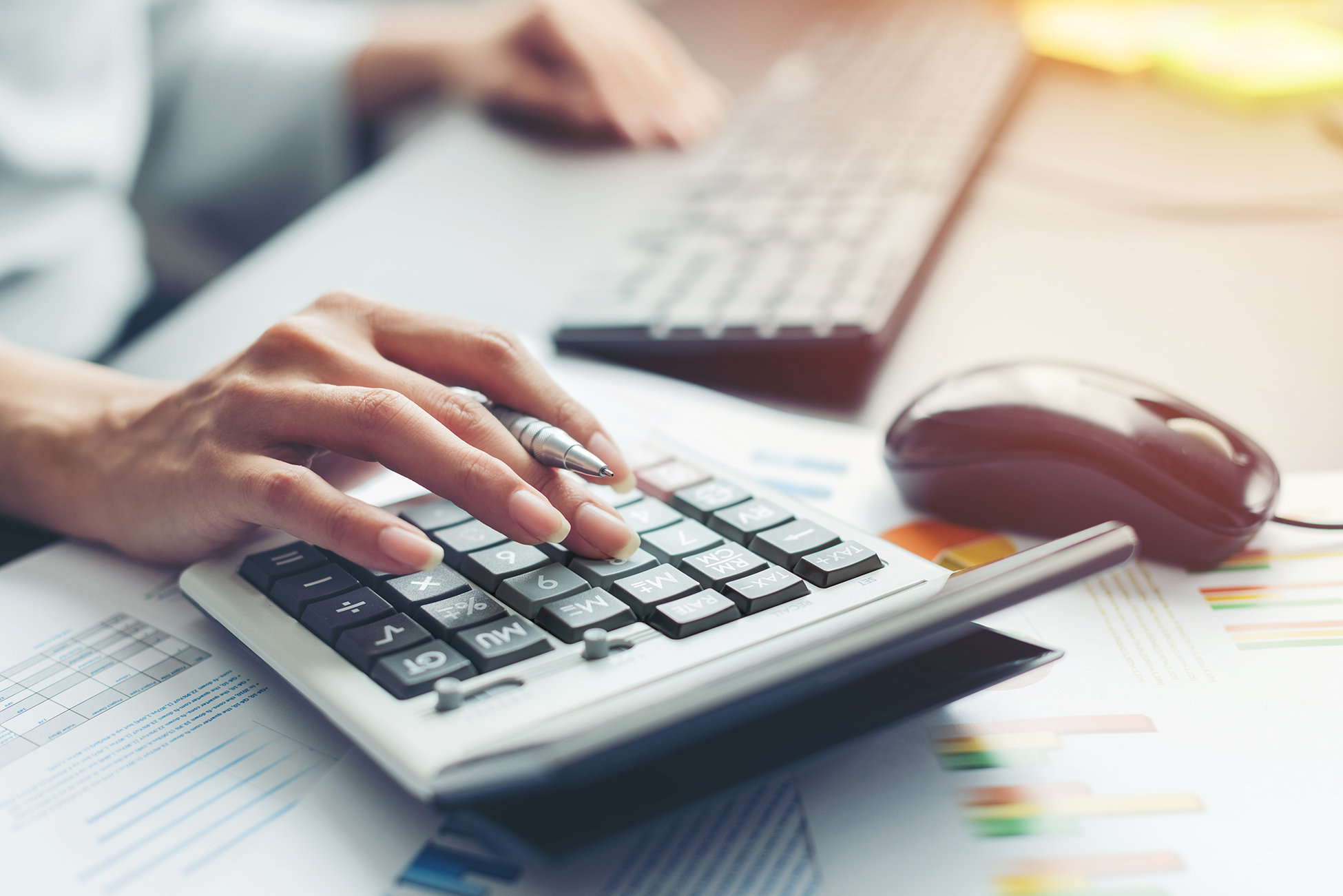 Accountant For CIS Workers